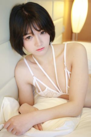 黑夜传说6终极之战